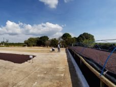 fermentacao-positiva-01