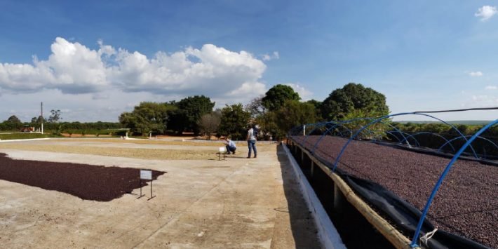 fermentacao-positiva-01