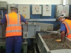 WhatsApp-Image-2019-06-11-at-19.50.03-1