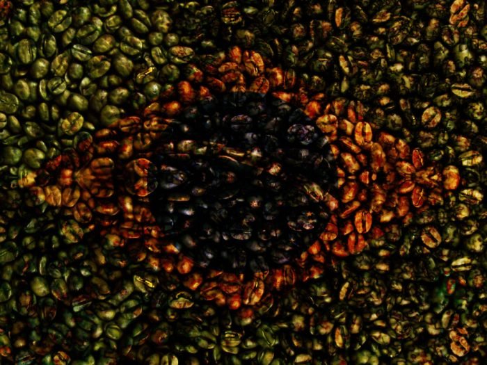 shutterstock_1309602808