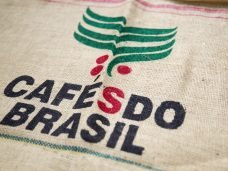 shutterstock_749239126