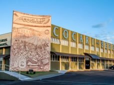 1cocari_07_02_2018