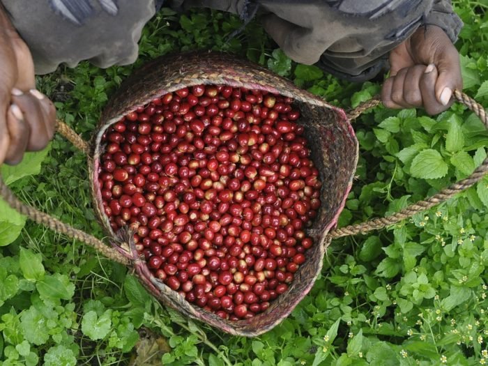 ethio-2347994_960_720