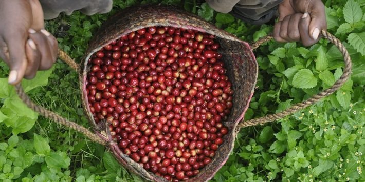 ethio-2347994_960_720