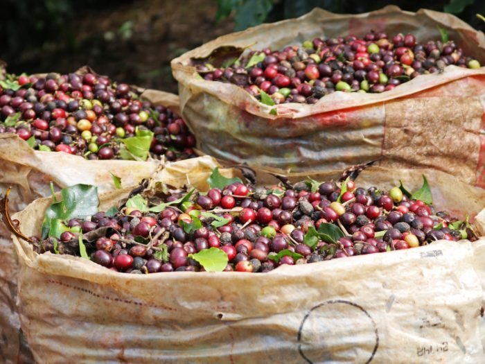 shutterstock_1274216017