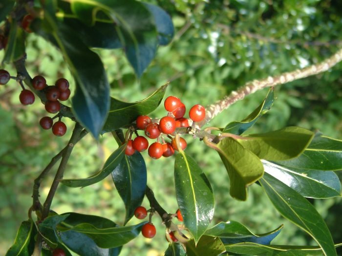 nature-pics-various-1-1529386-1279x960