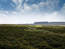 1_qHg_rSxPXn70ELjbvrXdkw