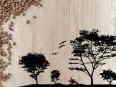 Grãos de café e espaço livre