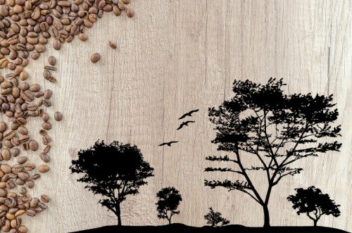 Grãos de café e espaço livre