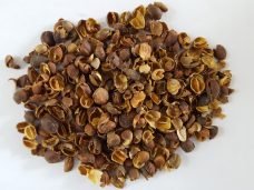 HTB1KMPIJVXXXXbNXVXXq6xXFXXXd