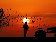 sunset-3812820_960_720