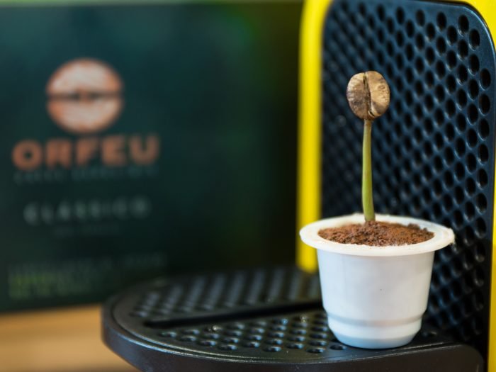 brotinho-bio-maquina-3