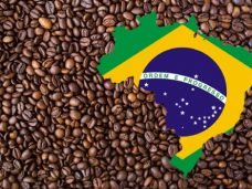 coffee-beans-926837_960_720