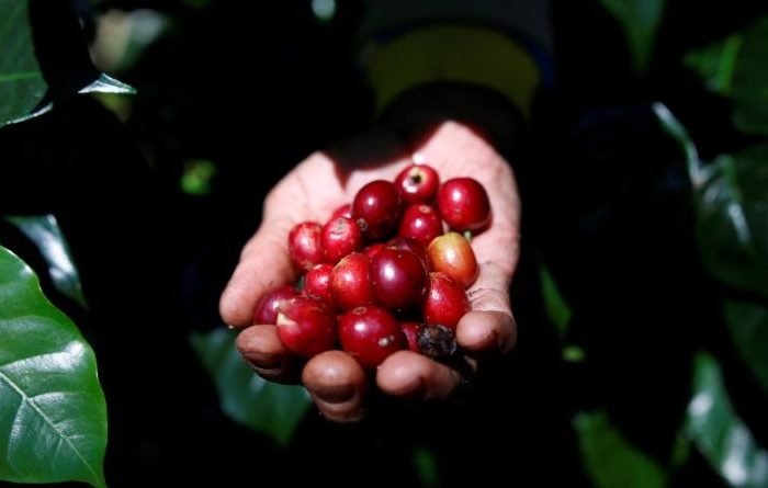 cafe-mao-reuters-800x445