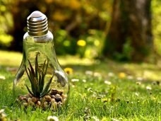 environmental-protection-3341942_1280