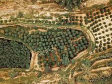 jazan-coffee-jizan-café-arabia-saudita