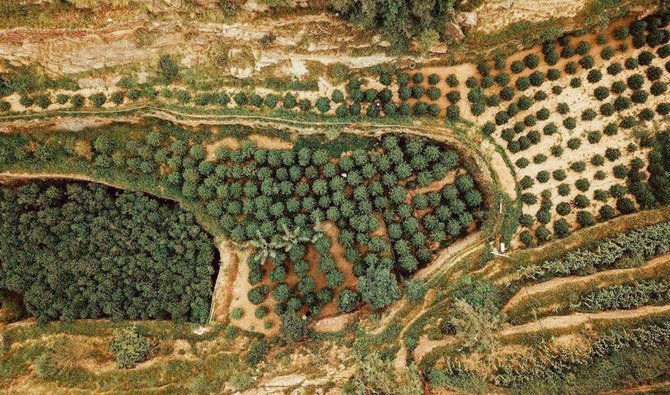 jazan-coffee-jizan-café-arabia-saudita