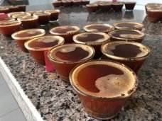 Pré-inscrições abertas para o Curso de Classificação e Degustação de Café do CCCMG