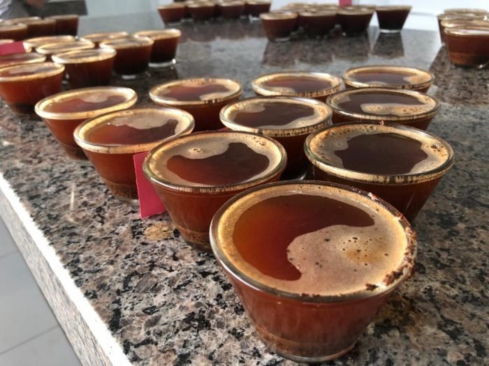 Pré-inscrições abertas para o Curso de Classificação e Degustação de Café do CCCMG