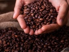 shutterstock_1187789239