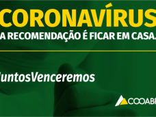 cabeçalho_matérias-768x406