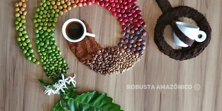robusta