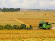 Safra soja 2020. Fotos:Jaelson Lucas / AEN