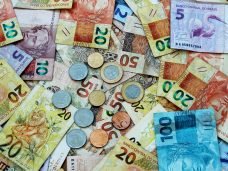 ballots-1195065_1280