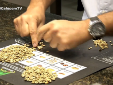 classificacaominasul