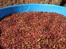 d458e17edd5a295202da706d92152019