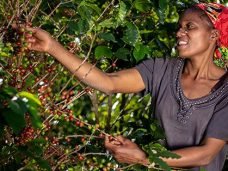 nespresso-reviving-origins-feed