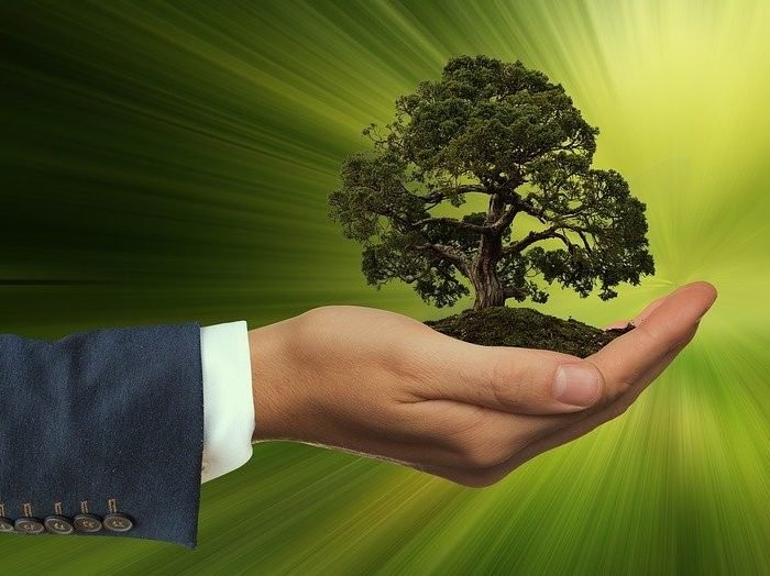 sustainability-3303398_1280