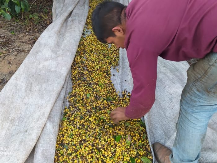 419ae715c36ef65dcf9a7afdb3987d7e