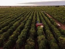 b2a88-unnamed--1-[1]