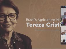 brazilian-coffees-webinar