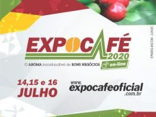 programacao_expocafe_digital_2020_geral_feed