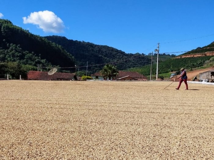 safra-cafe-varre-sai-3-