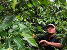 tagreuters.com2020binary_LYNXMPEG5T21P-BASEIMAGE-cafeicultor-costa-rica-800x445