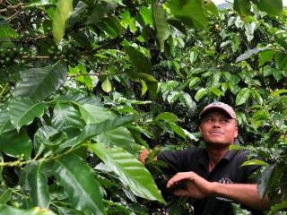 tagreuters.com2020binary_LYNXMPEG5T21P-BASEIMAGE-cafeicultor-costa-rica-800x445