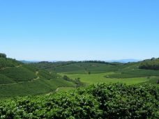 62496961_2706105669717849_182815665206329344_n