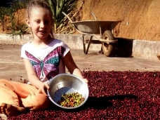 menina7anoscafeicultura