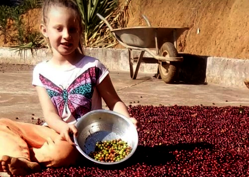 menina7anoscafeicultura