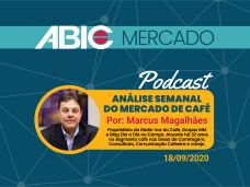 thumbabicmercado1809