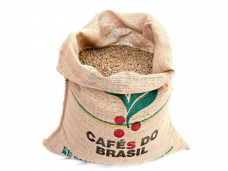 castanhal2