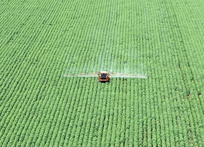 cultivo-de-soja-em-primavera-do-leste-mt-1601310073053_v2_900x506