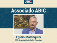 layout com foto do Egidio