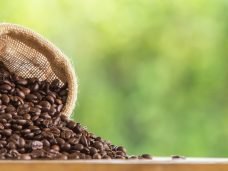 historia do cafe seculo xx