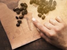 mapa do Brasil com grãos de café sobre a mesa