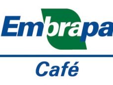 embrapa jornal do cafe