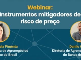 Webinar Mitigadores de Risco de Preço